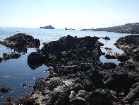pomulini-20110311 240